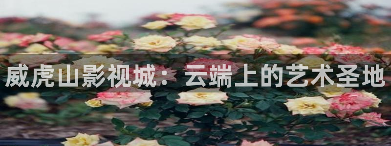 真不卡影院最新
