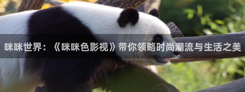 真不卡影院在线观看