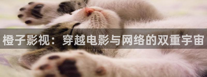 真不卡影院电视剧在线观看免费