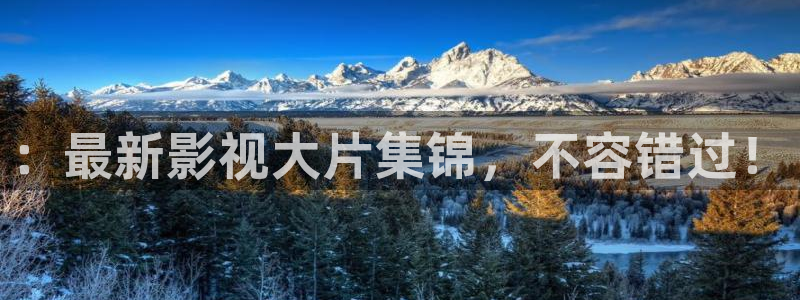 真不卡影院免费观看